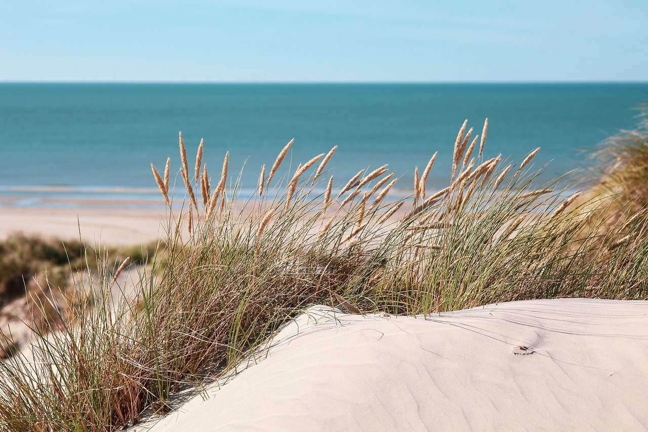 Discovering the Stunning Sand Dunes of Great Sand Dunes
